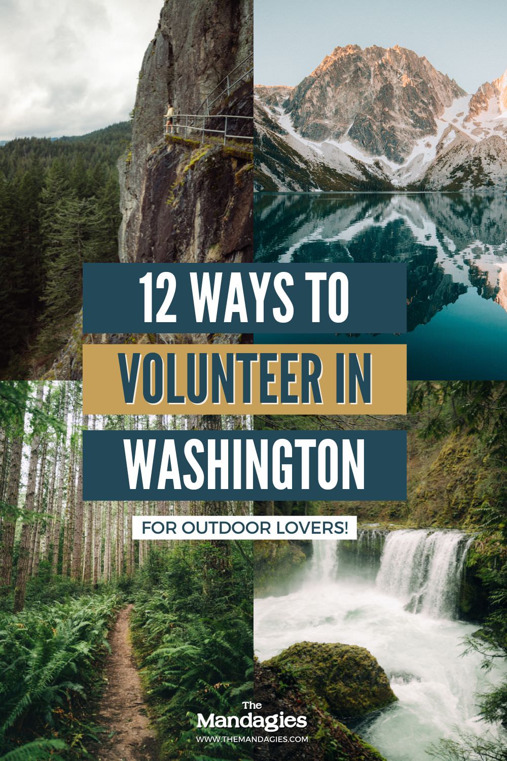 Ways To Volunteer in Washington State - Pin