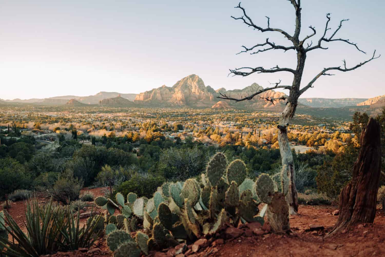 Airport Mesa Trail - Sedona, Arizona