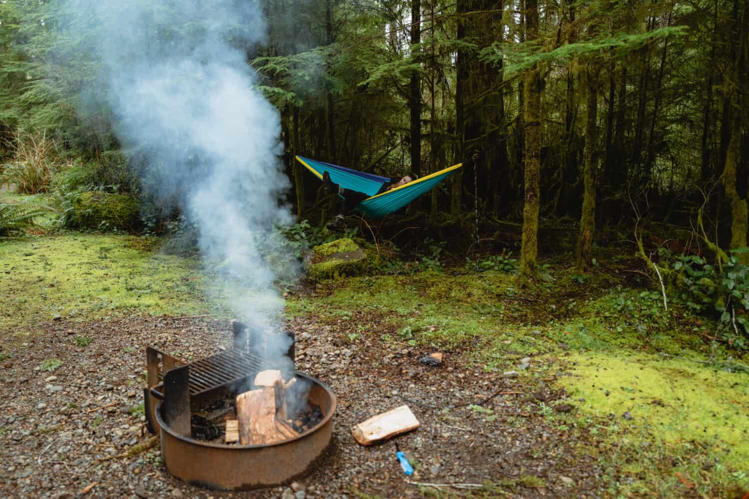 Bear Creek Campground - Spring Camping on the Olympic Peninsula