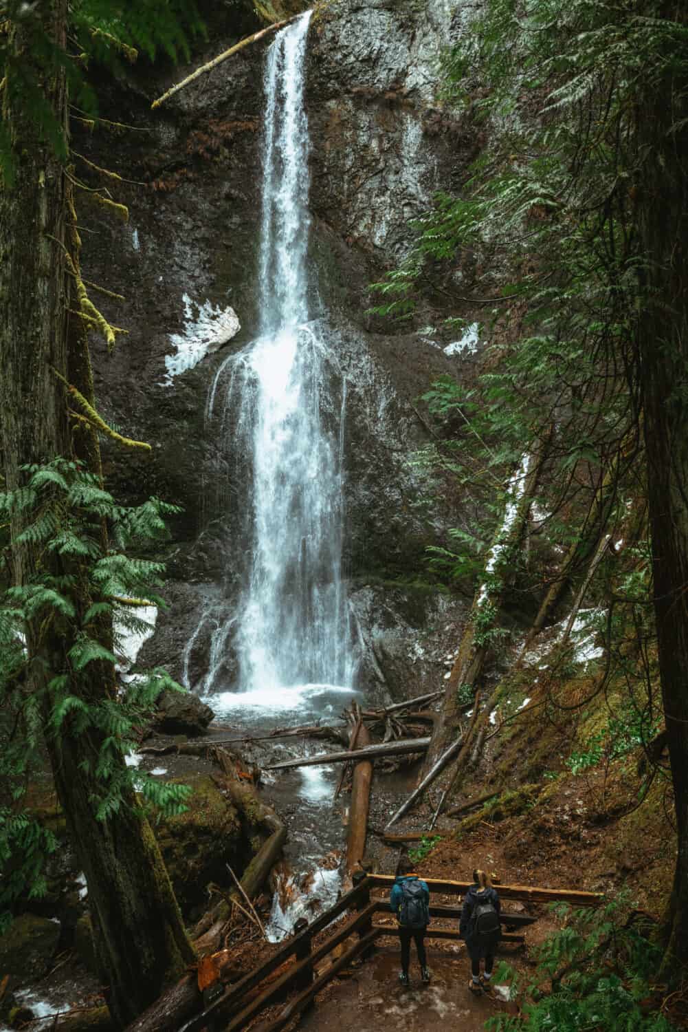 Facts About Olympic National Park - Marymere Falls