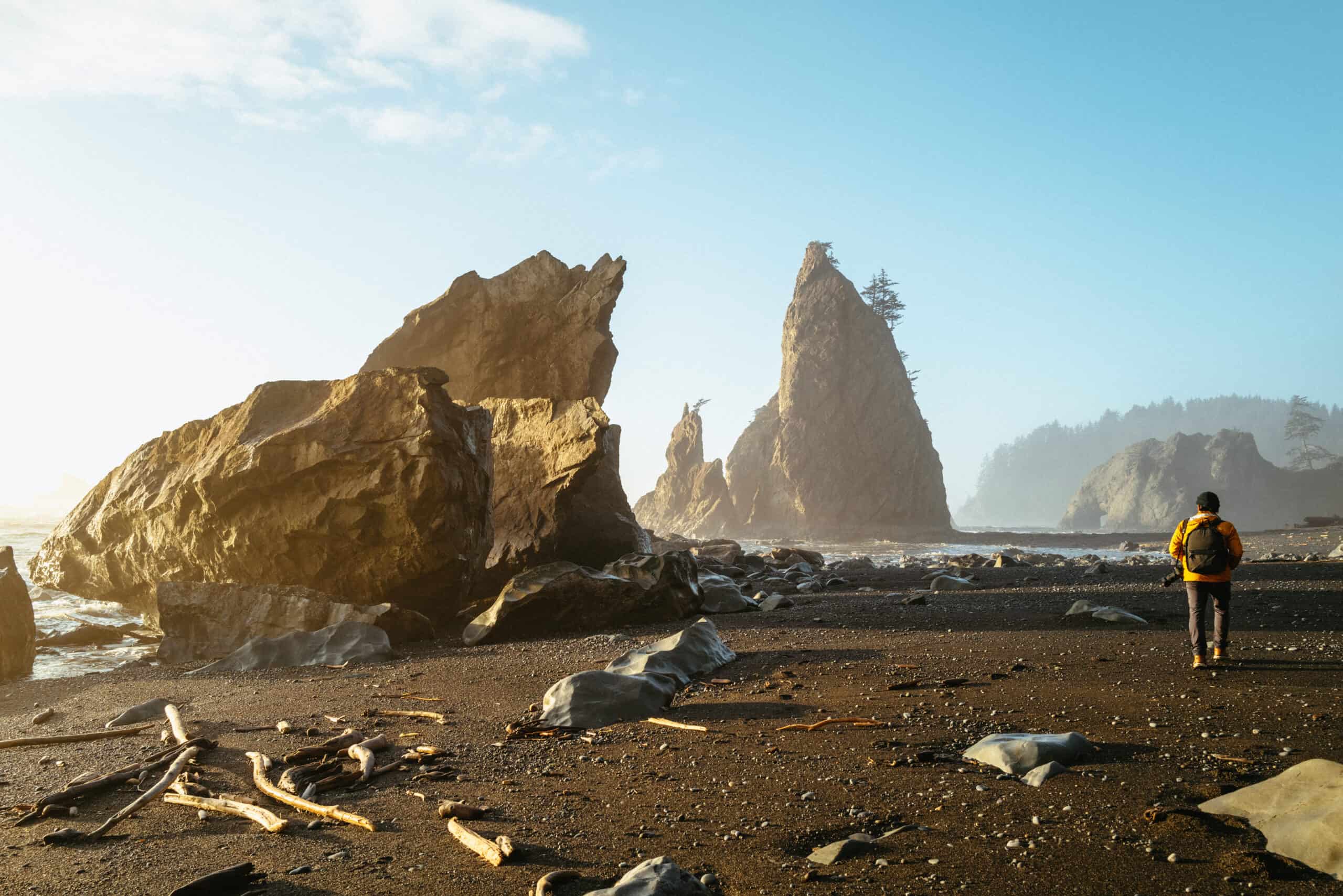 Bicchiere Da Shot Da Collezione - Olympic National Park Washington (Altezza 5,7 Cm X Diametro 4,6 Cm)