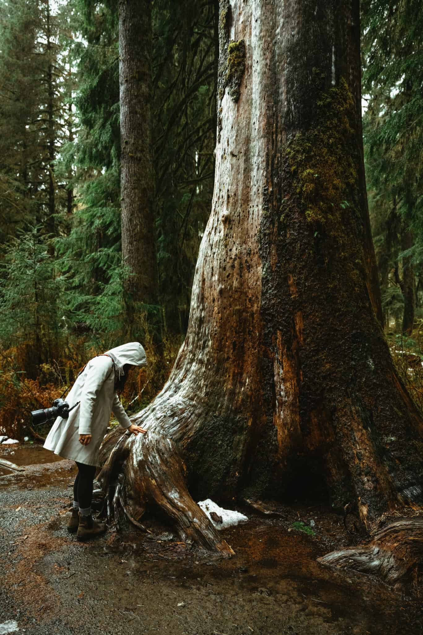 FUN FACTS ABOUT OLYMPIC PARK visual data 5