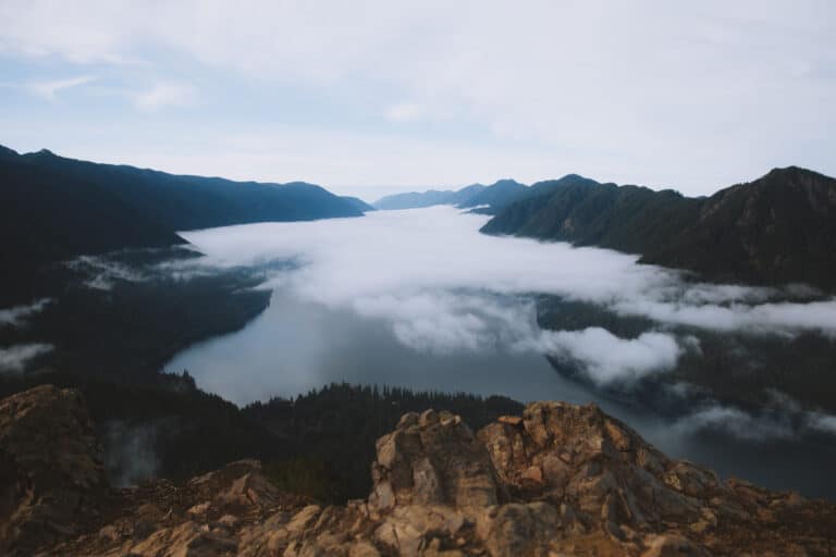 FUN FACTS ABOUT OLYMPIC PARK visual data 8