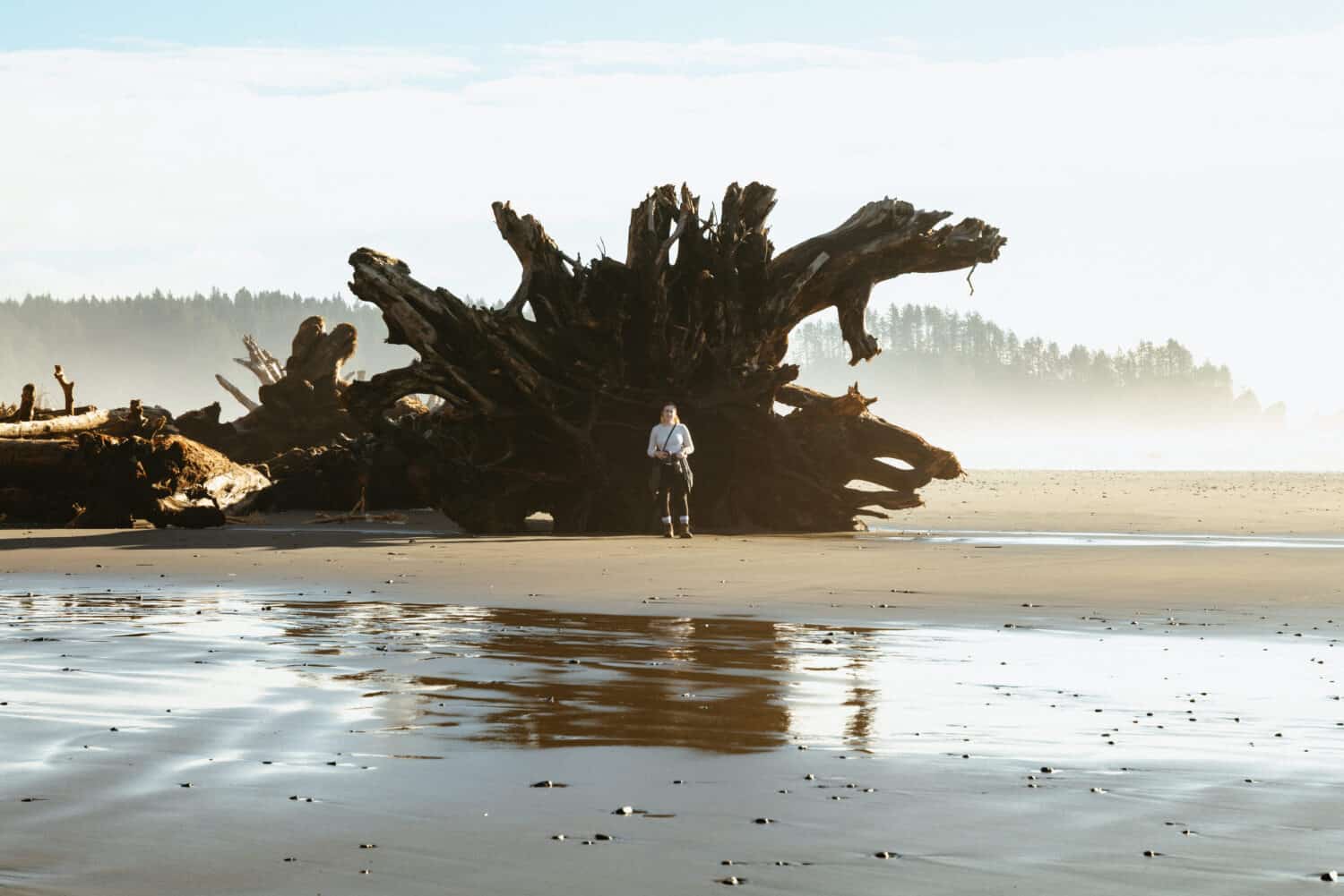 Olympic National Park Fun Facts - Second Beach