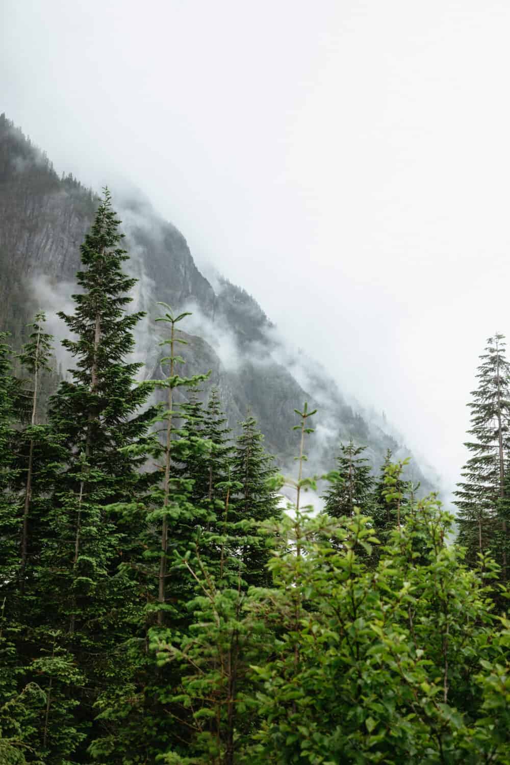 Fun Facts About North Cascades National Park - Cascade Mountain Range