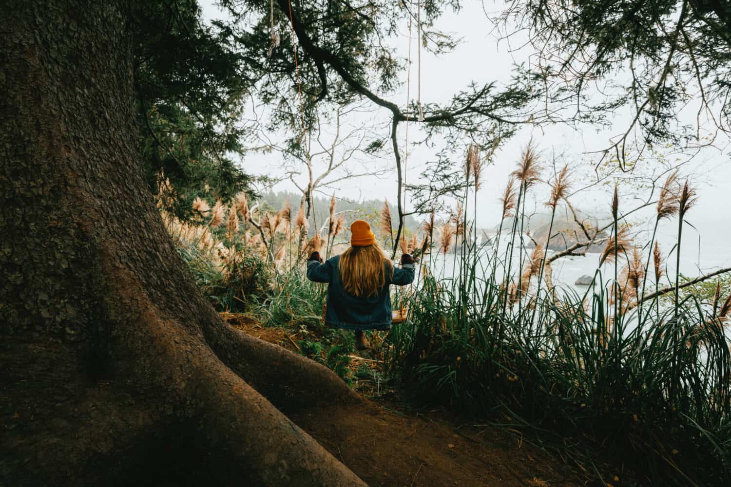 bus tours along california coast