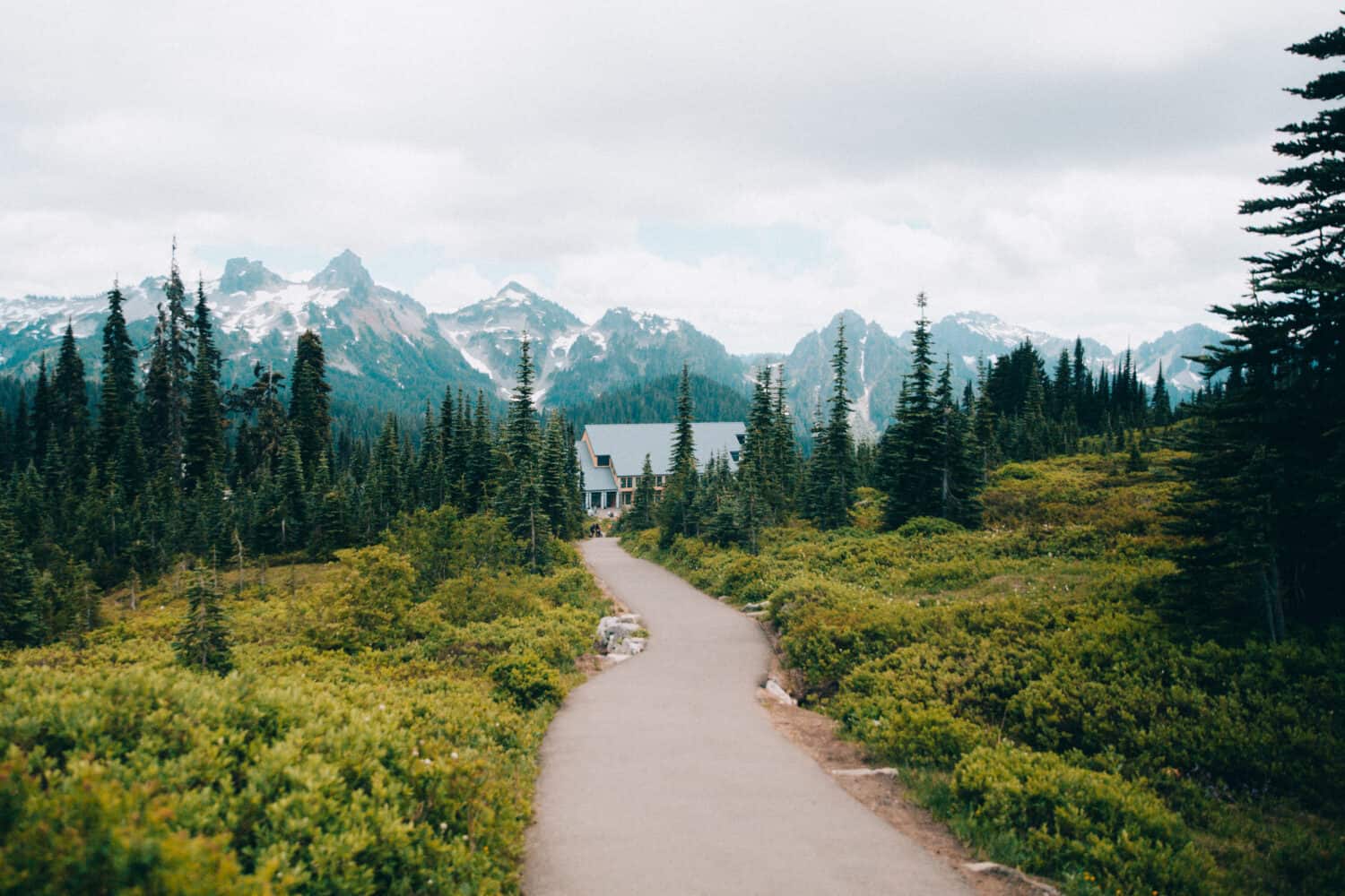 Fun Facts About Mount Rainier National Park