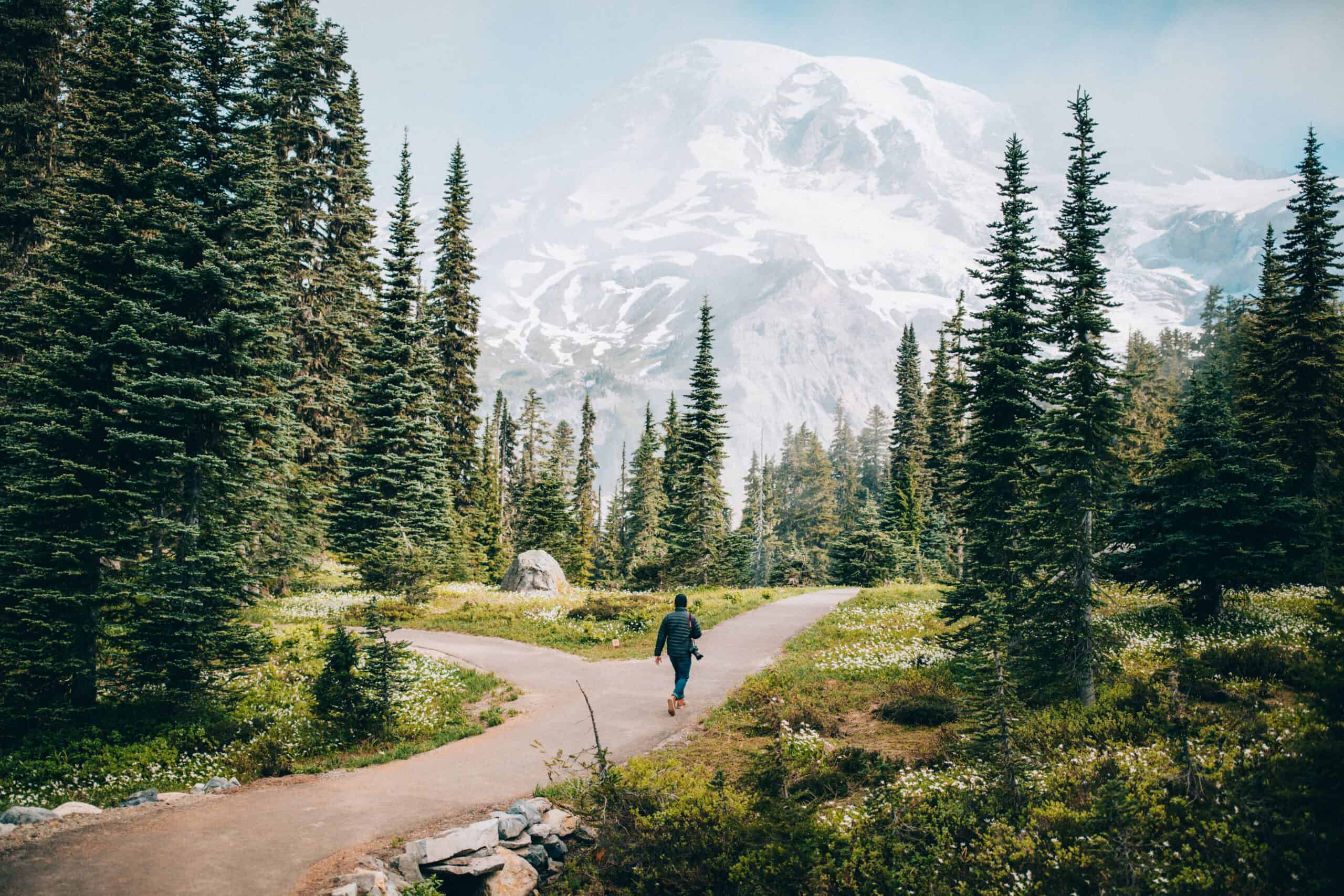 Things to do in Mount Rainier National Park