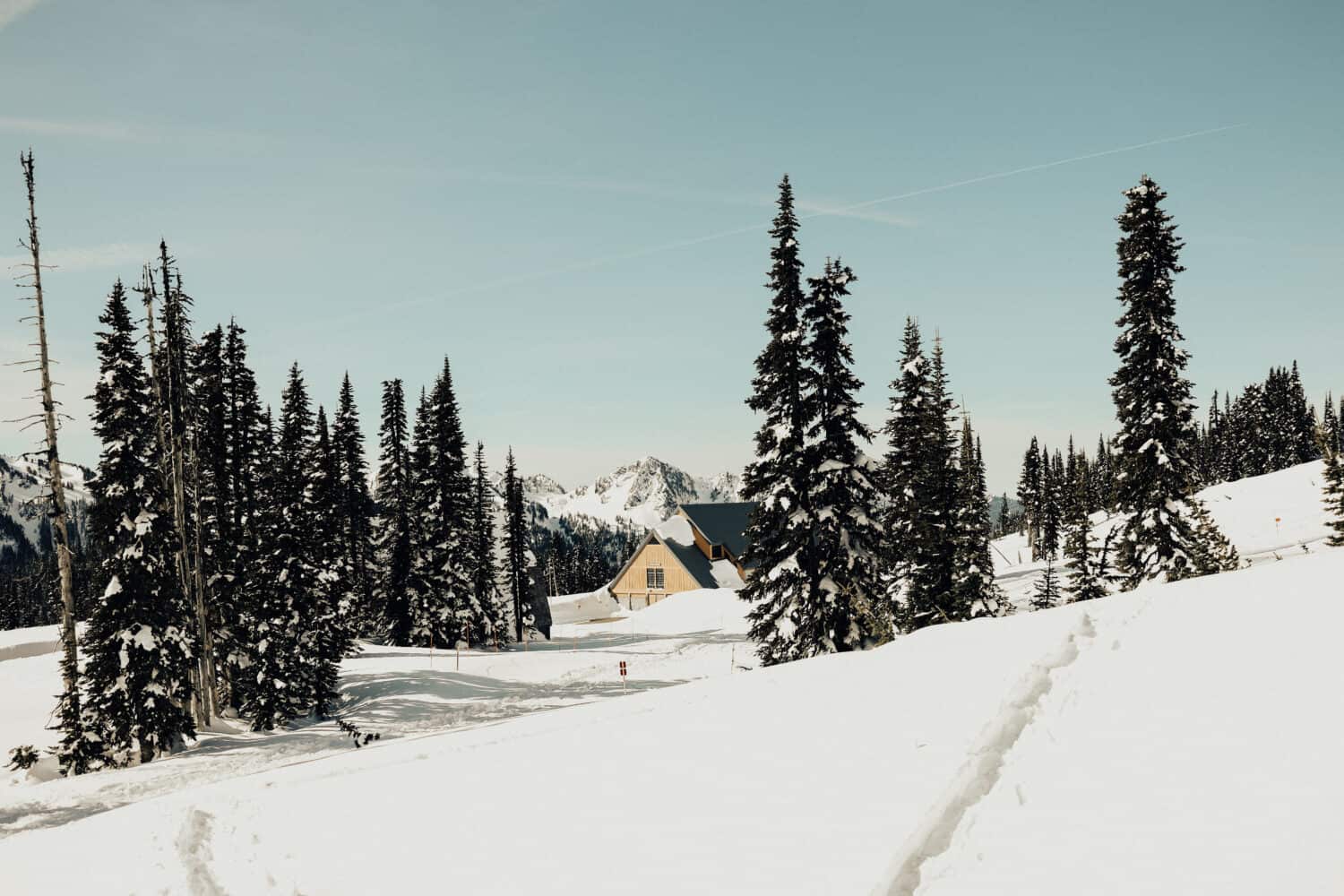 Mount Rainier National Park in Winter