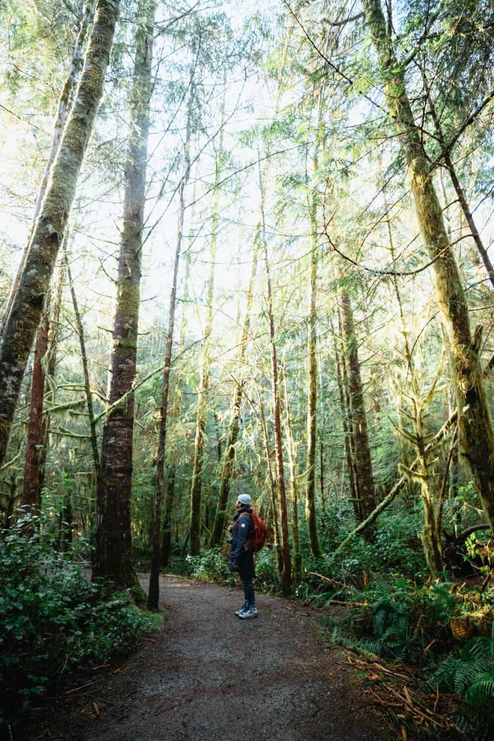 Rainforest Trail A - Pacific Rim National Park - Best Hikes in Tofino
