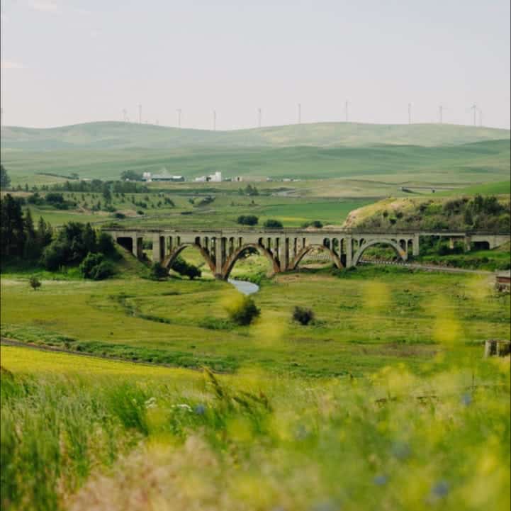 A bridge in the distance, with rolling green hills and a soft grassy foreground