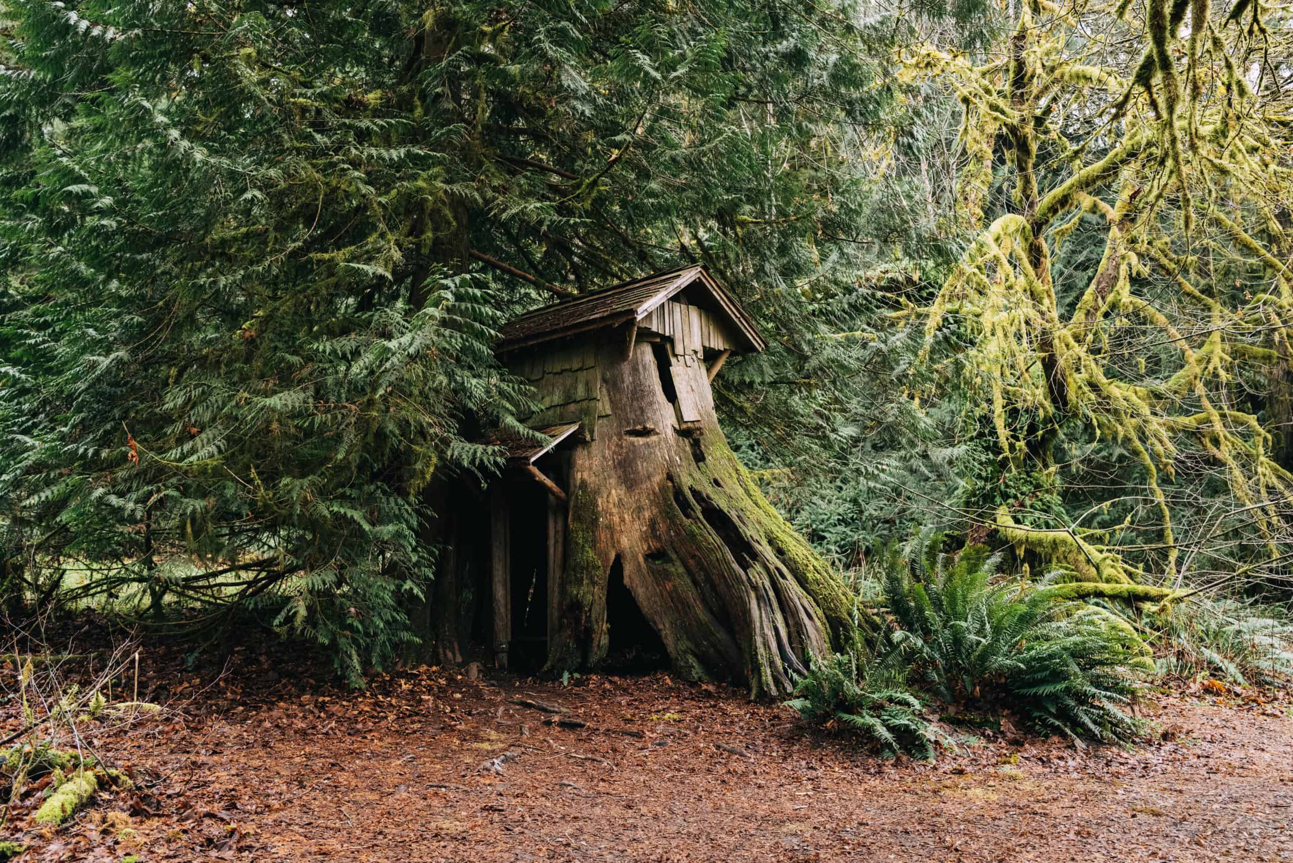 The Stump House: How To Find This Hidden Washington Gem
