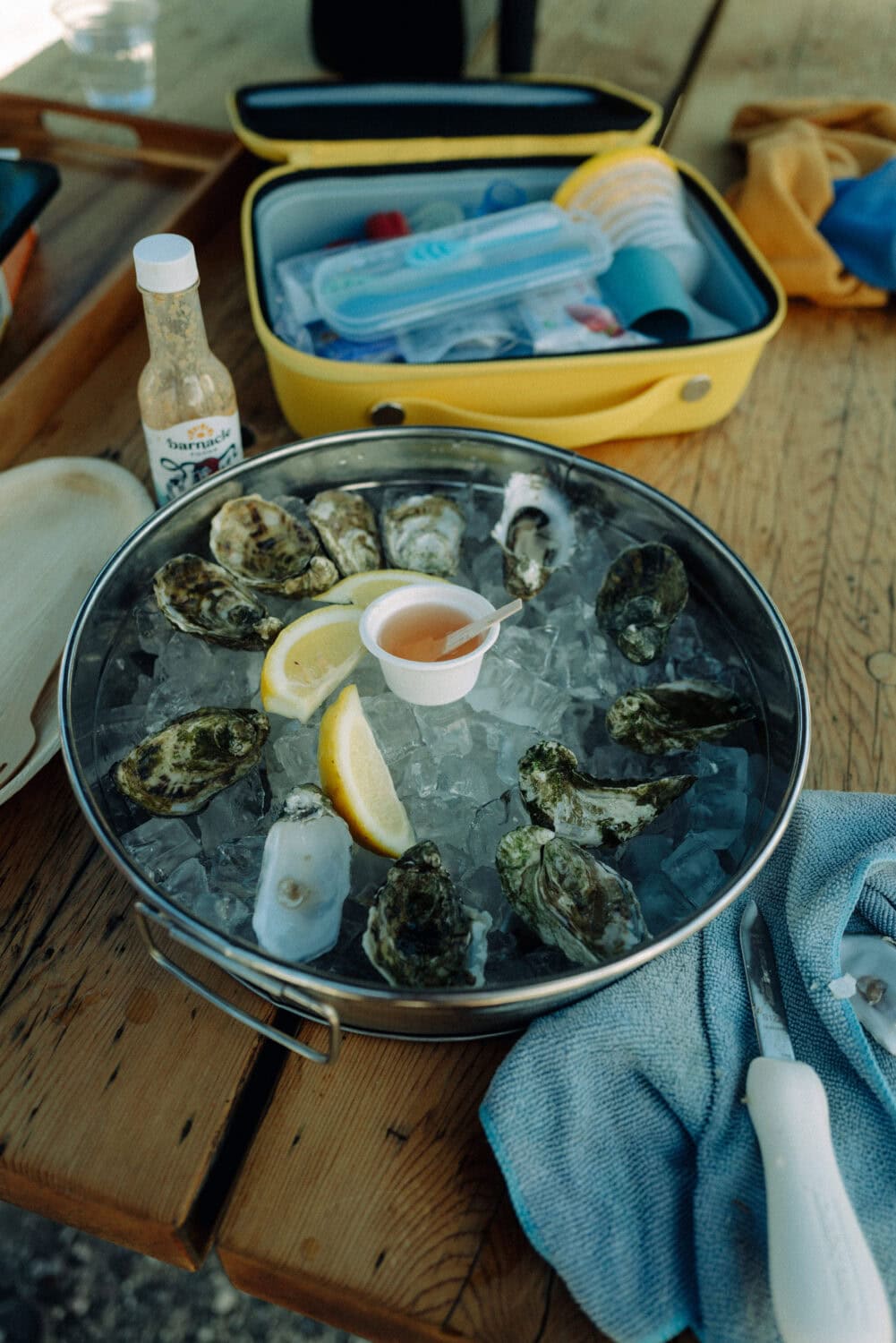 Oysters on San Juan Island